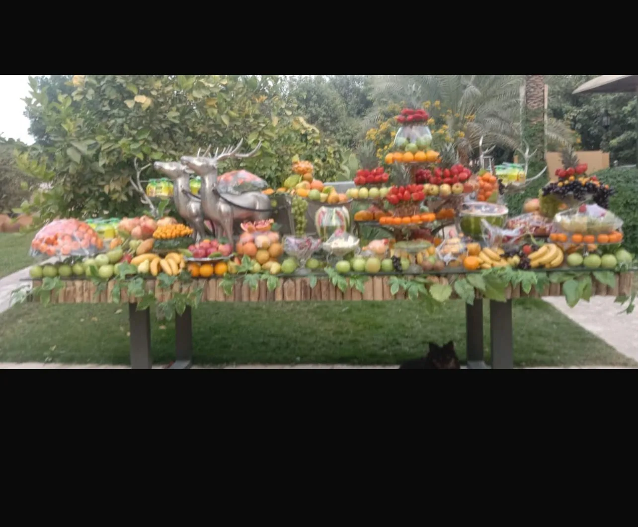 Nibras catering archive photograph 7