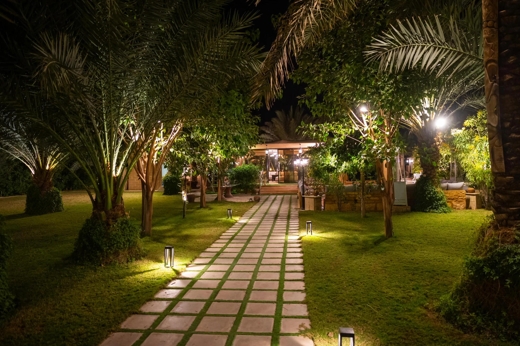 Illuminated garden path through mature palm trees